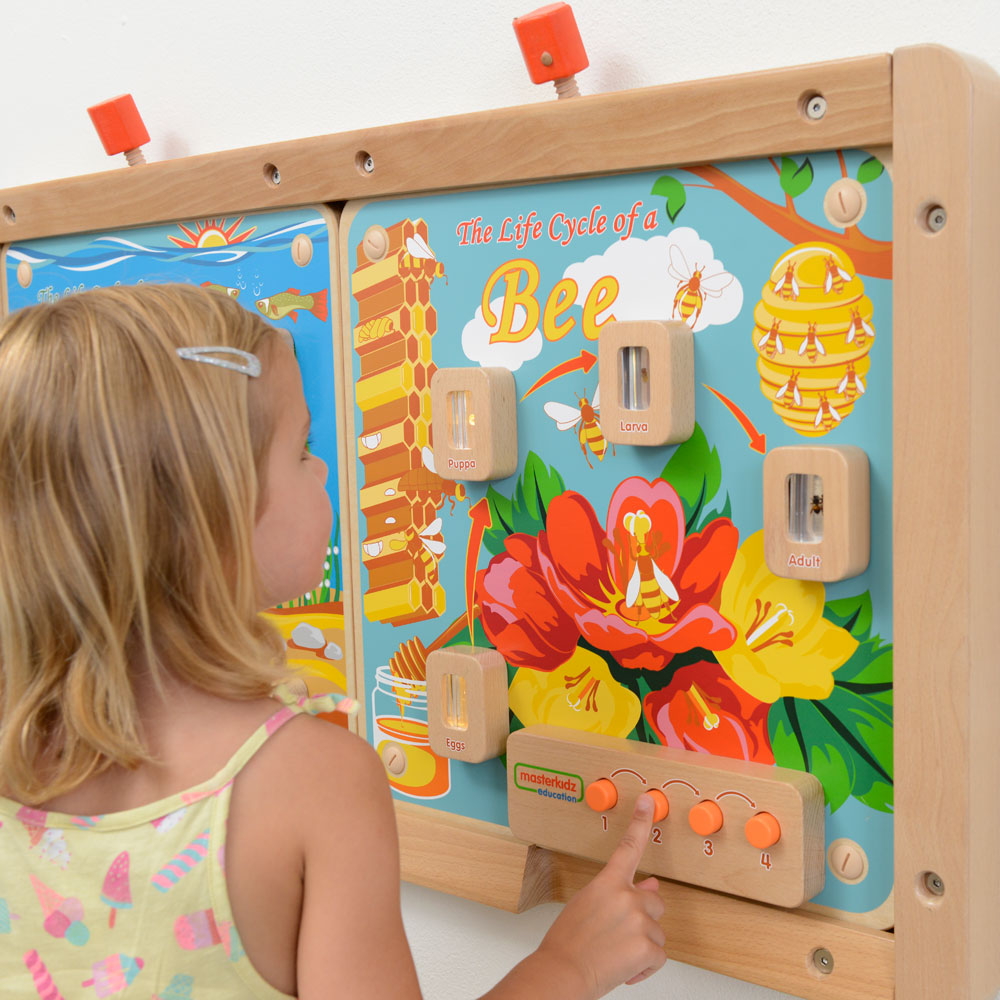 Light-Up Bee Life Cycle Wall Element