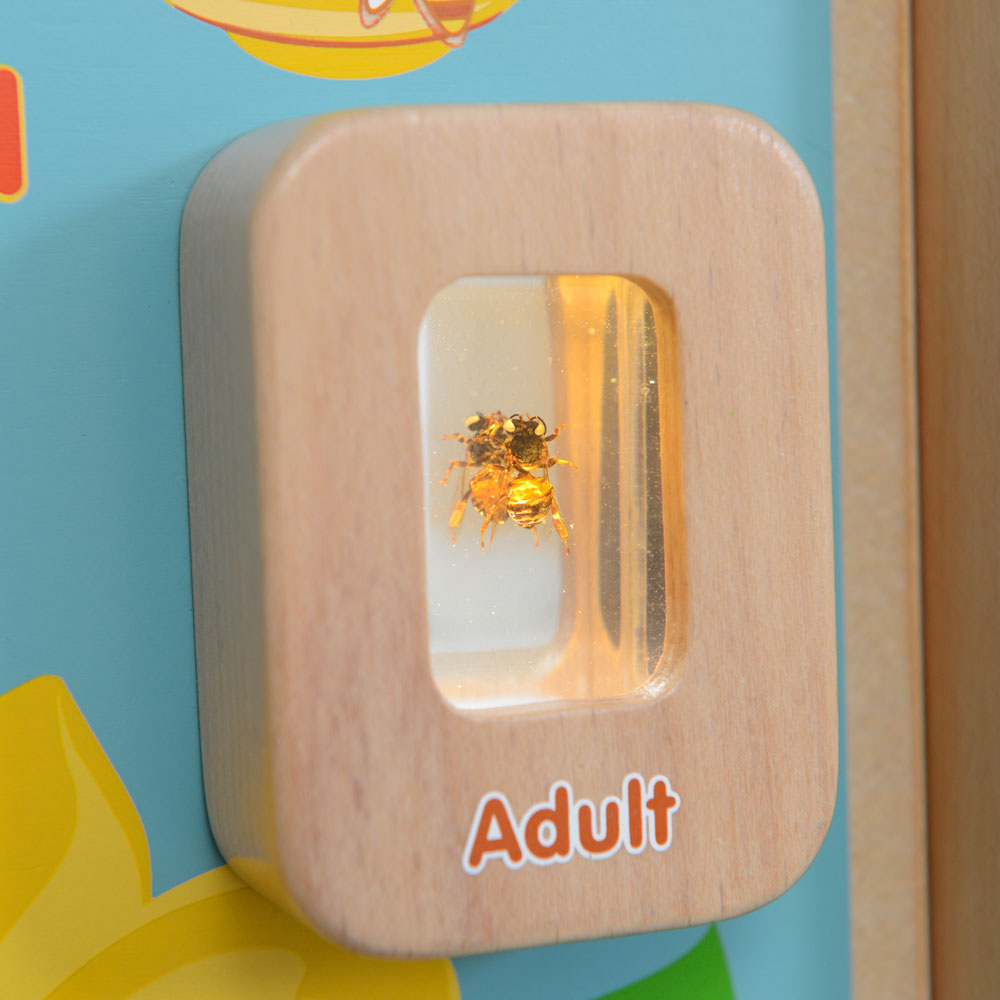 Light-Up Bee Life Cycle Wall Element