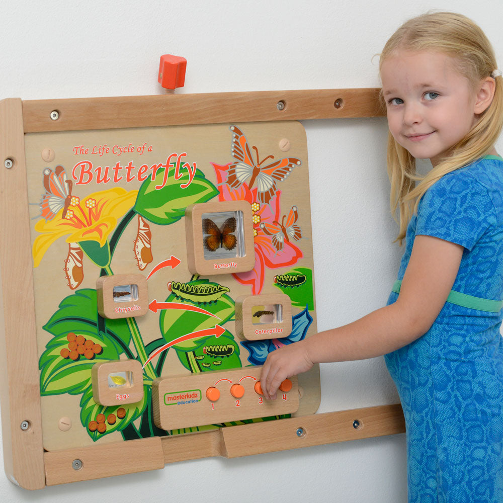 Light-Up Butterfly Life Cycle Wall Element