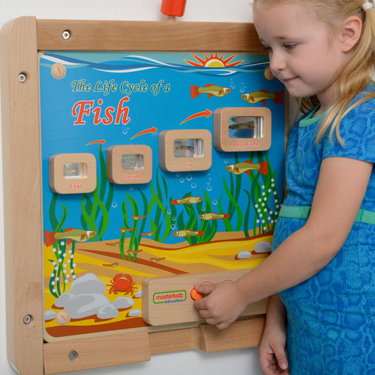 Light-Up Fish Life Cycle Wall Element