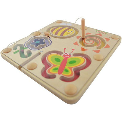 Magnetic Sliding Maze - Insects