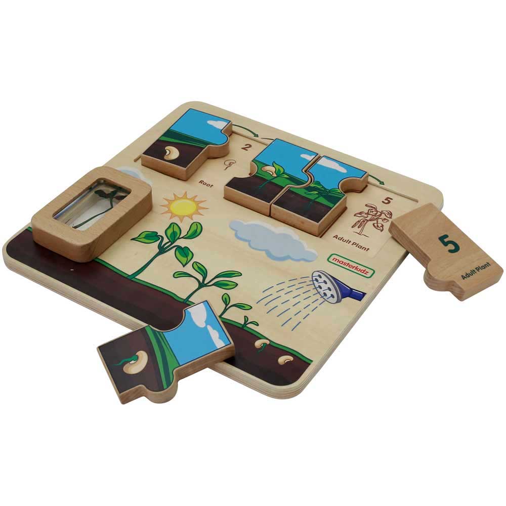 Plant Life Cycle Learning Board