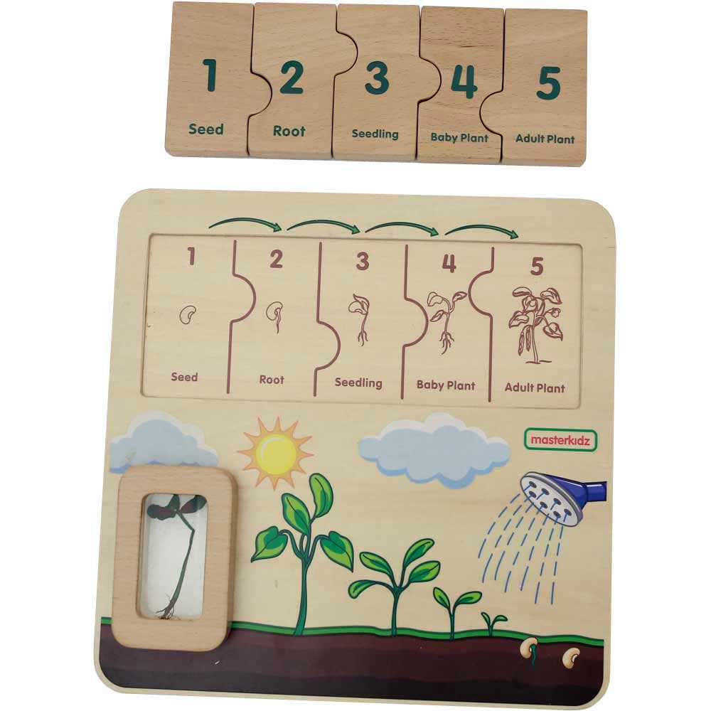 Plant Life Cycle Learning Board