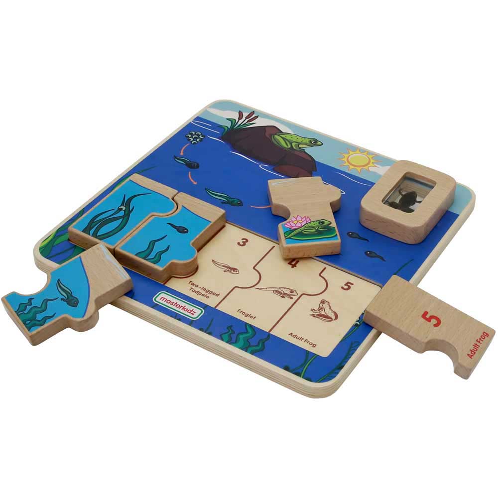 Frog Life Cycle Learning Board